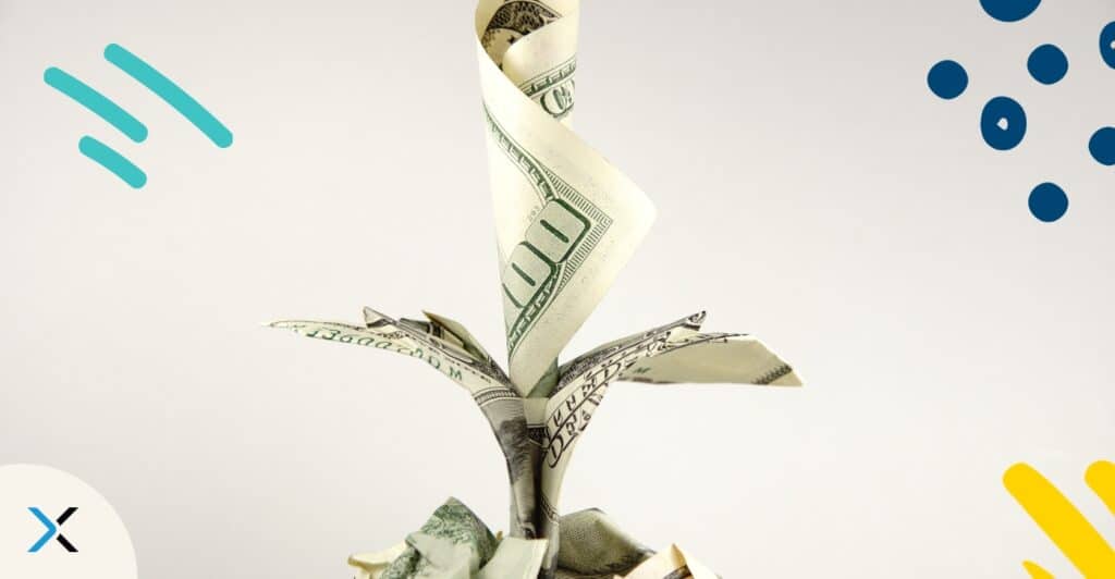 A money plant symbolizes the positive effect of terminology management for your business.