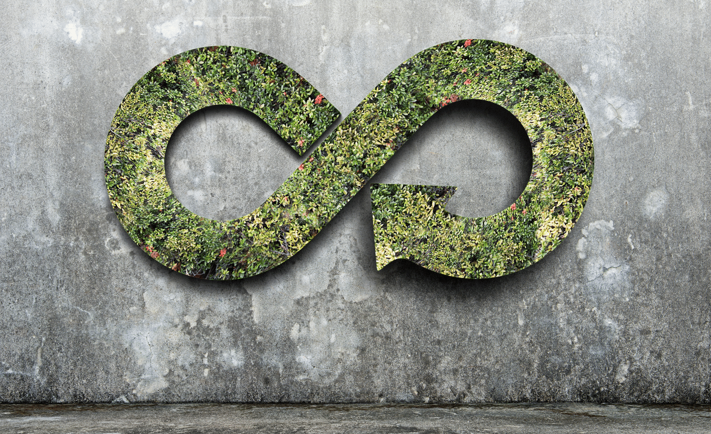 Infinity symbol made of green foliage on a textured concrete wall background.