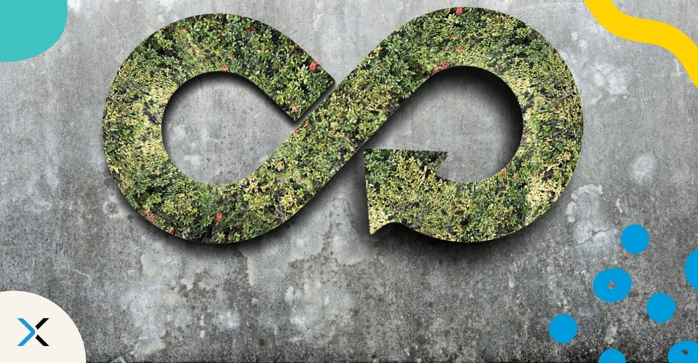 Infinity symbol made of green foliage on a textured concrete wall background.