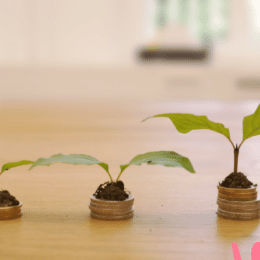 The cost of content creation blog represented by seedlings growing out of piles of coins.