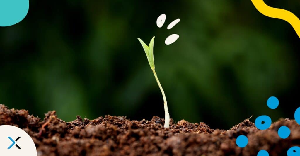 A sprout emerging from the earth symbolizes source content as the basis for great translations to grow from.