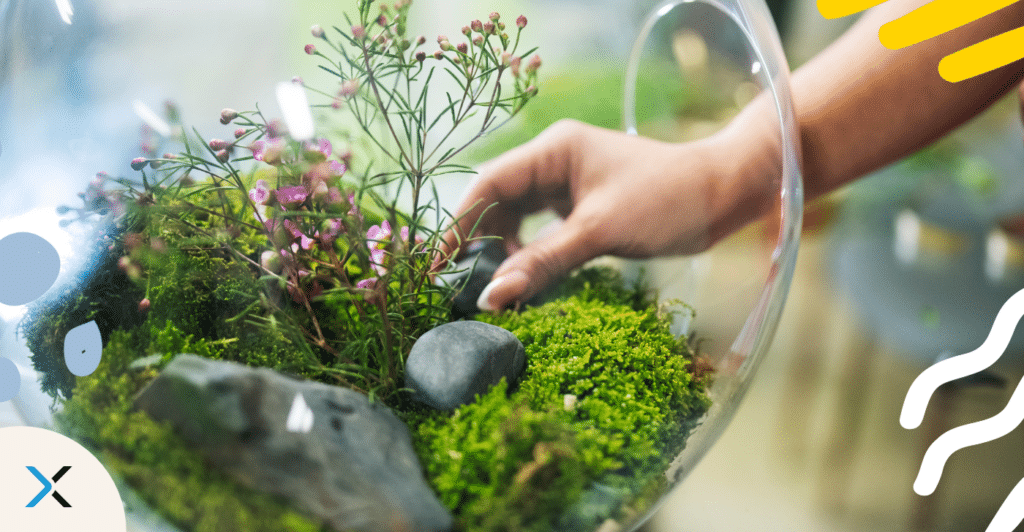 A hand reaching into a terrarium representing an ecosystem for a blog talking about content ecosystems